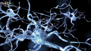 How does experience shape the brain? thumbnail