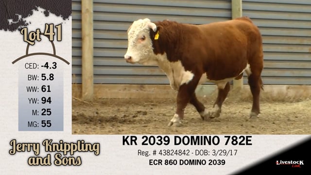 Lot #41 - KR 2039 DOMINO 782E