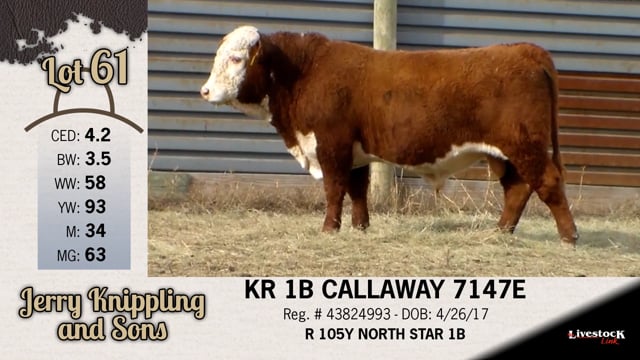Lot #61 - KR 1B CALLAWAY 7147E