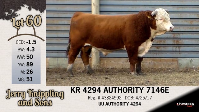 Lot #60 - KR 4294 AUTHORITY 7146E