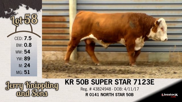 Lot #58 - KR 50B SUPER STAR 7123E