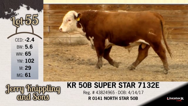Lot #55 - KR 50B SUPER STAR 7132E