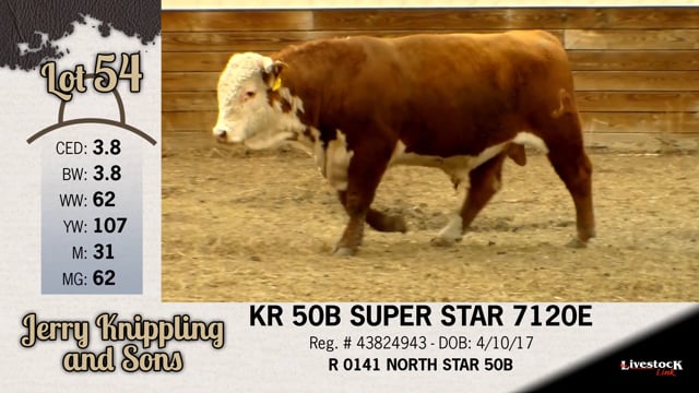 Lot #54 - KR 50B SUPER STAR 7120E