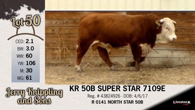 Lot #50 - KR 50B SUPER STAR 7109E