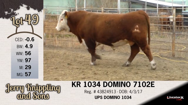 Lot #49 - KR 1034 DOMINO 7102E