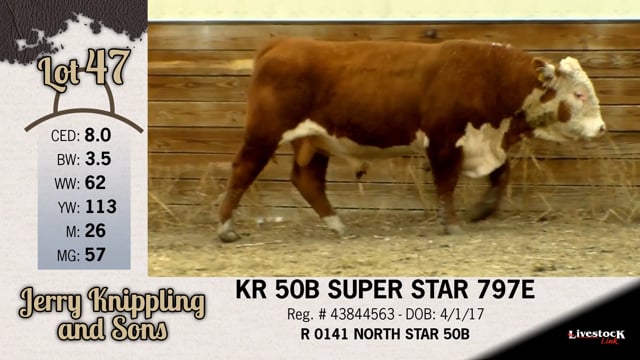 Lot #47 - KR 50B SUPER STAR 797E