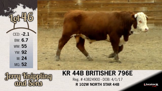 Lot #46 - KR 44B BRITISHER 796E