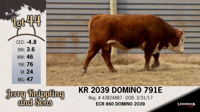 Lot #44 - KR 2039 DOMINO 791E