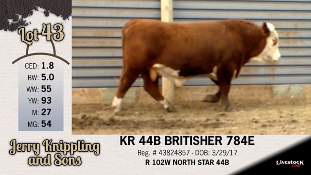Lot #43 - KR 44B BRITISHER 784E
