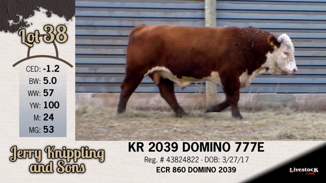 Lot #38 - KR 2039 DOMINO 777E