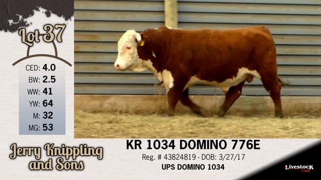 Lot #37 - KR 1034 DOMINO 776E