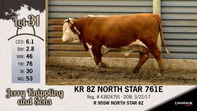 Lot #31 - KR 8Z NORTH STAR 761E