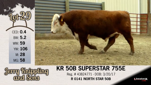 Lot #29 - KR 50B SUPERSTAR 755E