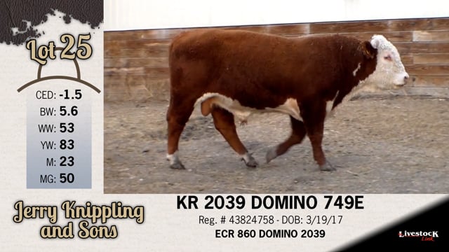 Lot #25 - KR 2039 DOMINO 749E