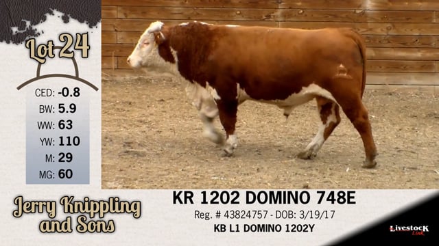 Lot #24 - KR 1202 DOMINO 748E