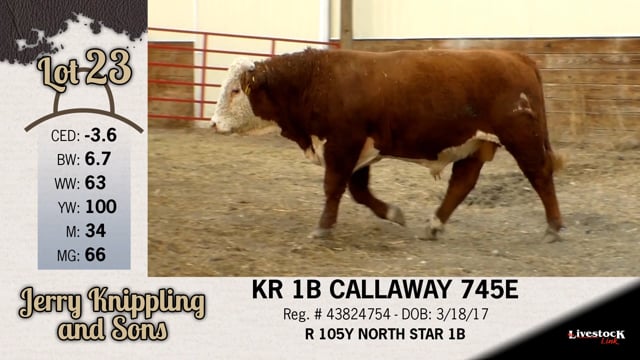 Lot #23 - KR 1B CALLAWAY 745E