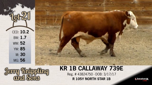 Lot #21 - KR 1B CALLAWAY 739E