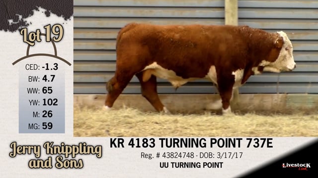 Lot #19 - KR 4183 TURNING POINT 737E