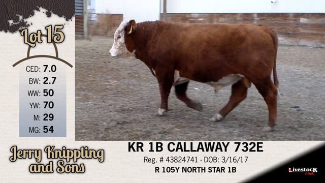 Lot #15 - KR 1B CALLAWAY 732E