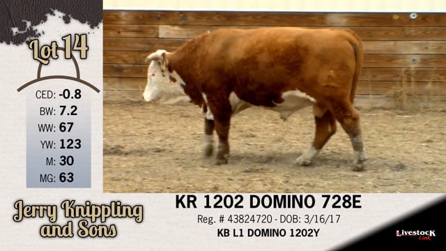 Lot #14 - KR 1202 DOMINO 728E