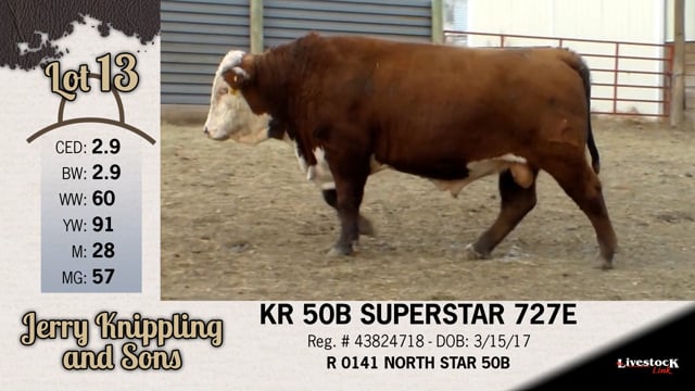 Lot #13 - KR 50B SUPERSTAR 727E