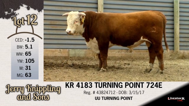 Lot #12 - KR 4183 TURNING POINT 724E