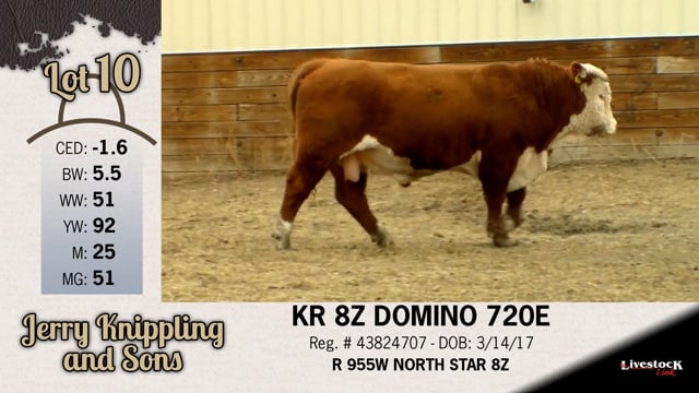 Lot #10 - KR 8Z DOMINO 720E