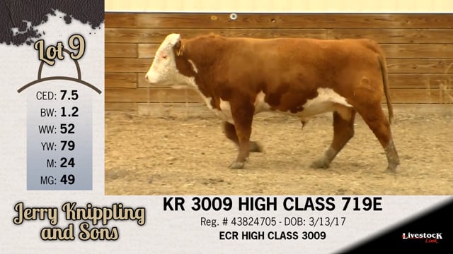 Lot #9 - KR 3009 HIGH CLASS 719E