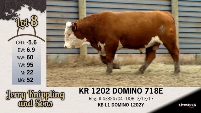 Lot #8 - KR 1202 DOMINO 718E