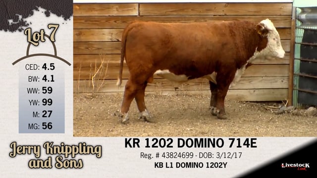 Lot #7 - KR 1202 DOMINO 714E