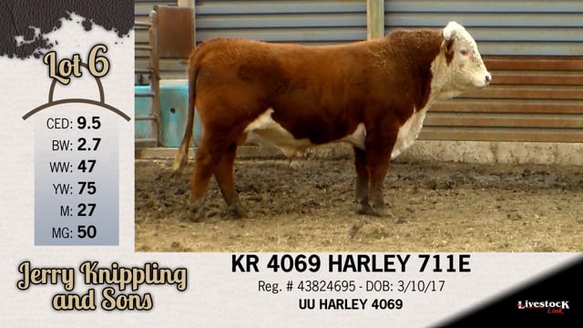 Lot #6 - KR 4069 HARLEY 711E