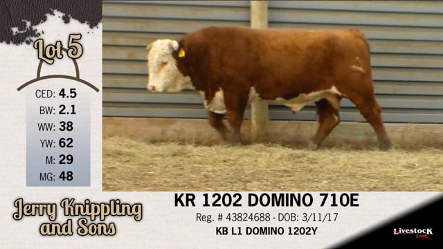 Lot #5 - KR 1202 DOMINO 710E