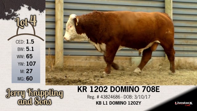 Lot #4 - KR 1202 DOMINO 708E