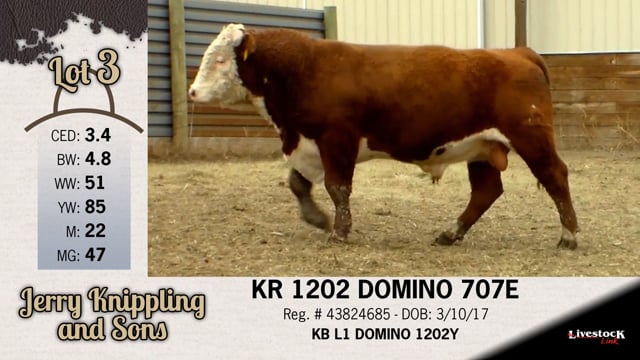 Lot #3 - KR 1202 DOMINO 707E