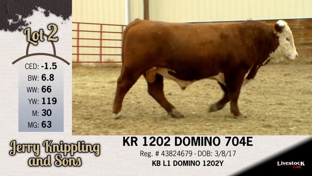 Lot #2 - KR 1202 DOMINO 704E