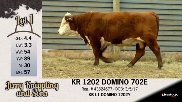 Lot #1 - KR 1202 DOMINO 702E