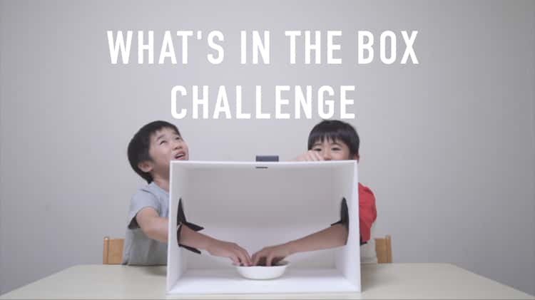 What's In The Box Challenge [日本語字幕あり]