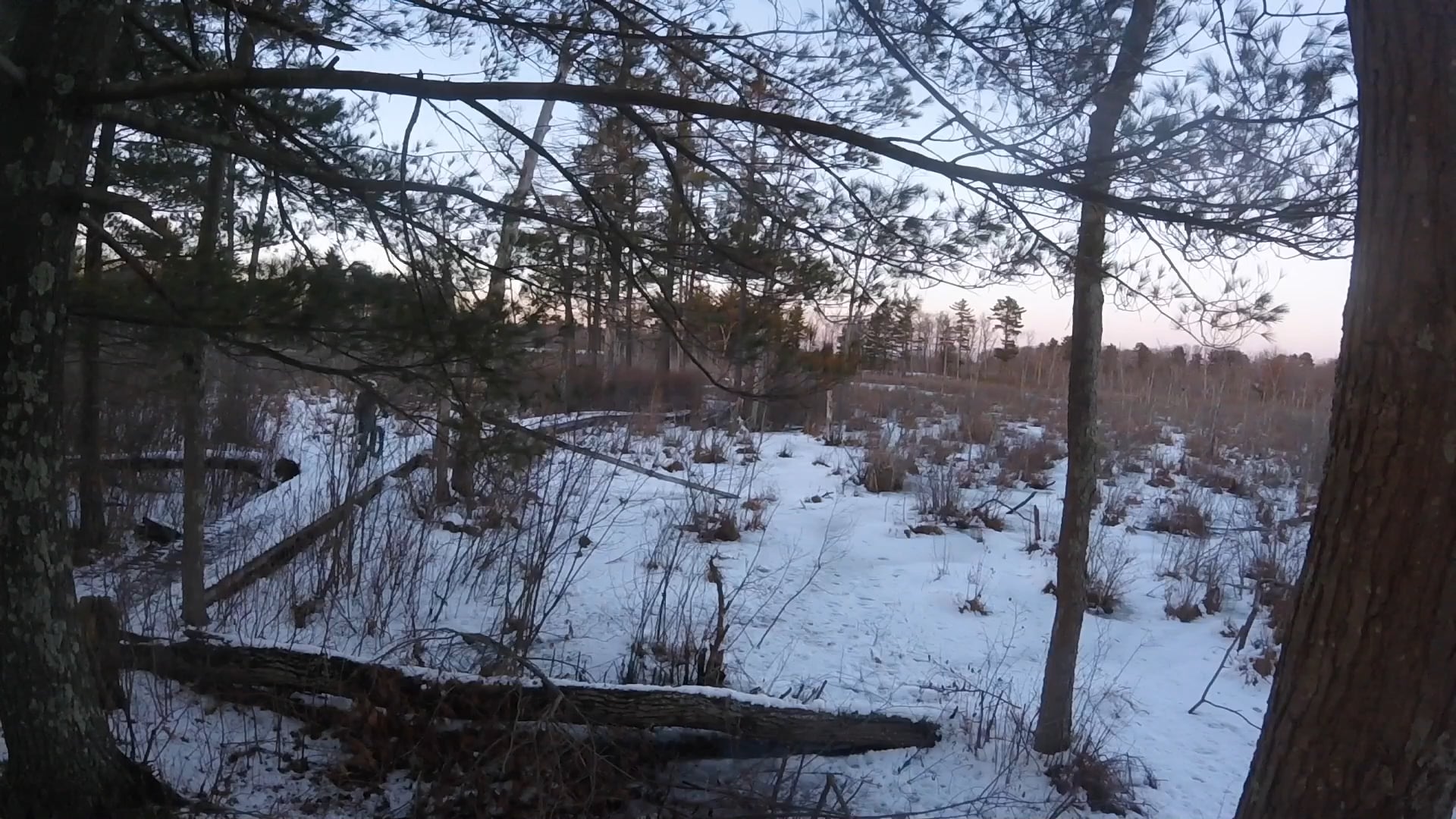 Winter on the ECG
