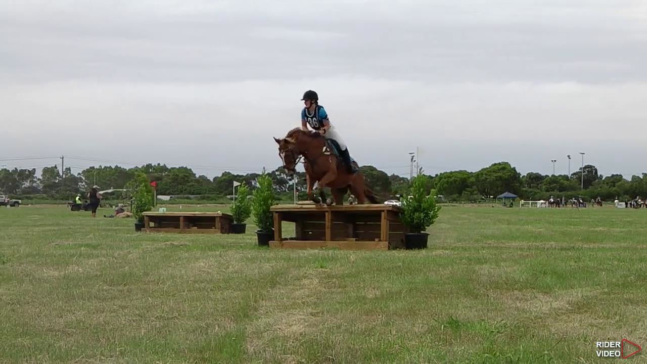 Emma Illman riding Genial Kid 136 Open Grade 3 Mentone Pony Club Horse