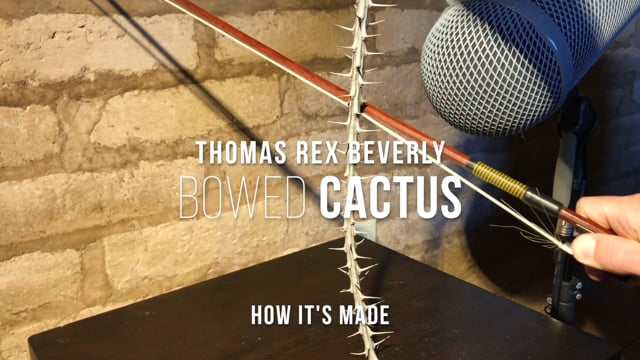 Bowed Cactus - How It's Made