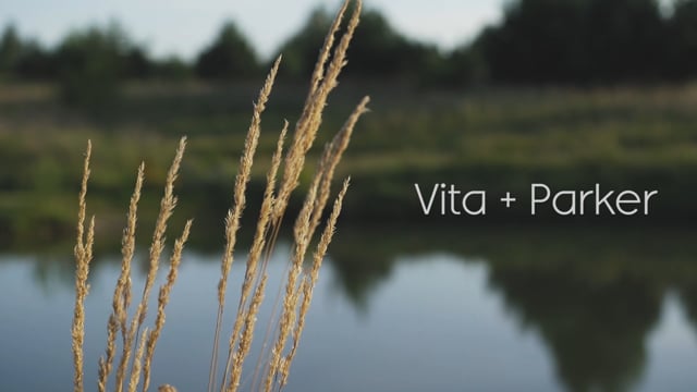 AIVIDEO #5