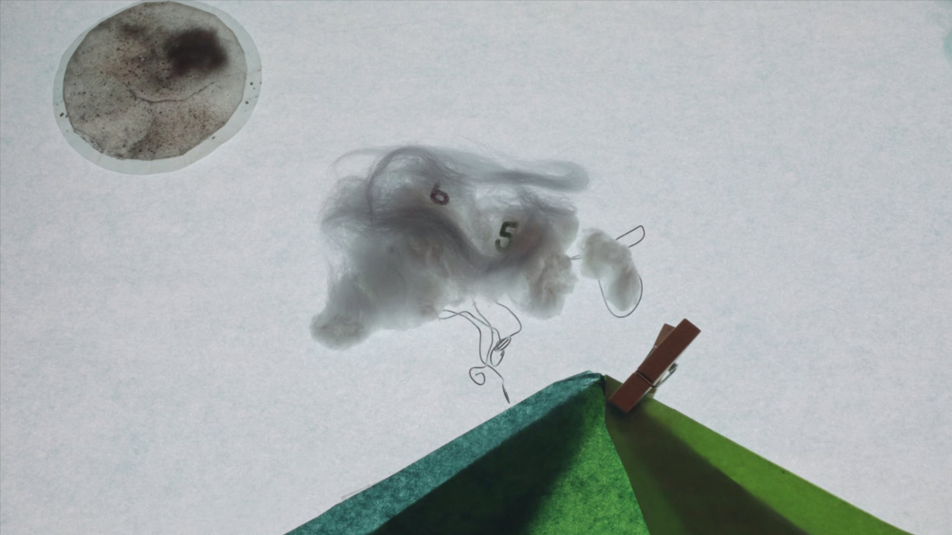 Le mouton 166
