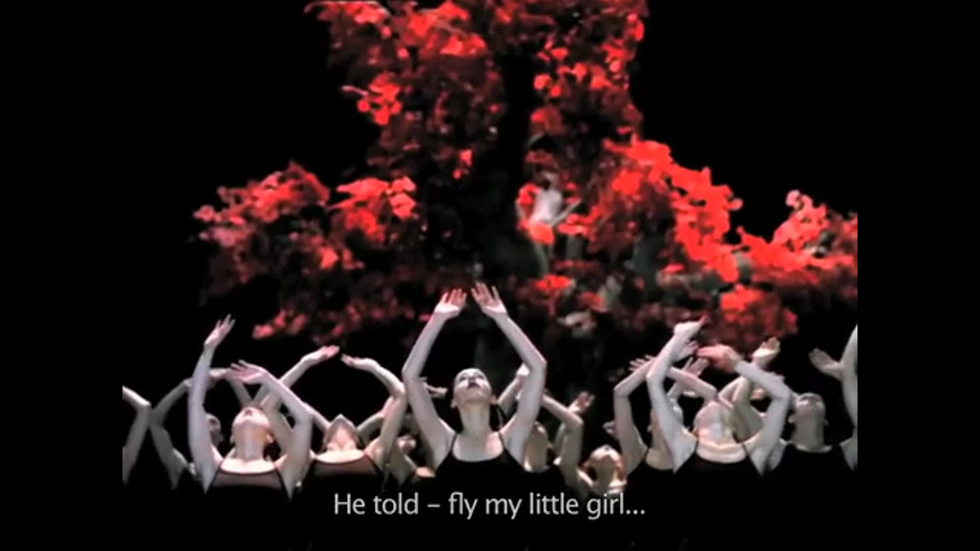 Hayk Kirakosyan - Akbank Balett