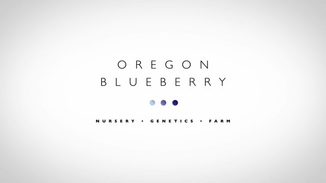 Oregon Blueberries - Customer Success Story