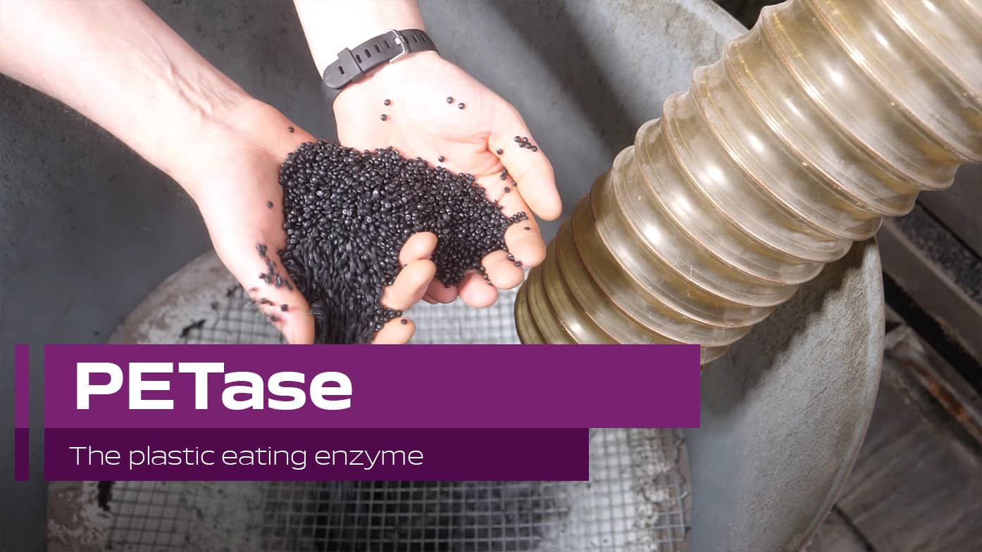 PETase The plastic eating enzyme on Vimeo