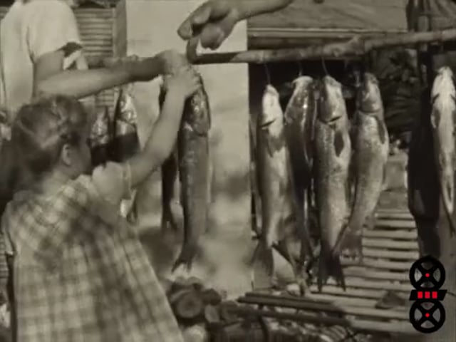 Famille à Parcieux et retour de pêche