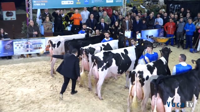 XXVII Concurso Autonómico da Raza Frisona Fefriga 2018