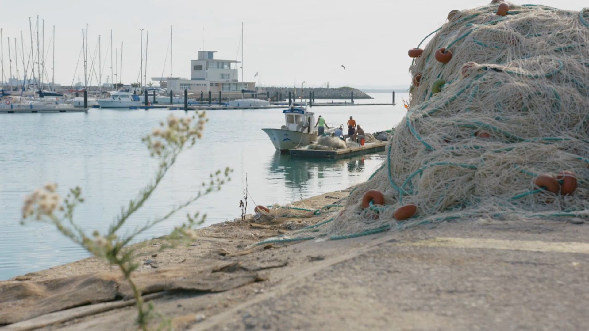 Destino Andalucía - Rota - Cámara