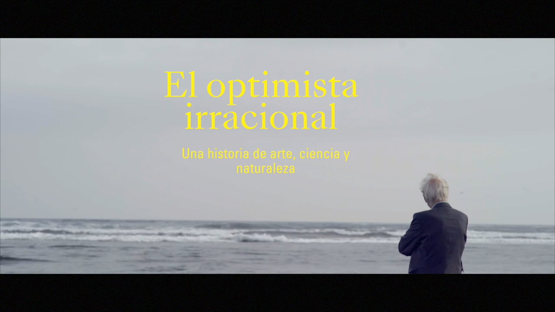 El optimista irracional