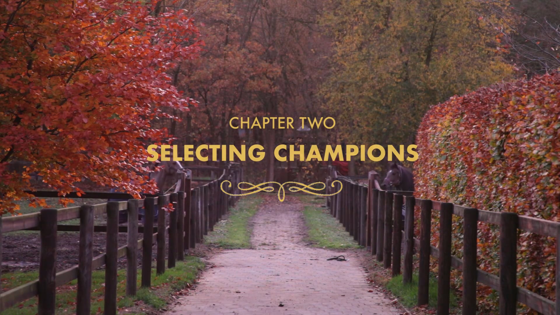 Chapter Two: Selecting Champions